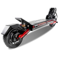 Hiley Tiger 8 scooter électrique 48V avec suspensions / 8 pouces de scooter électrique Batterie au lithium